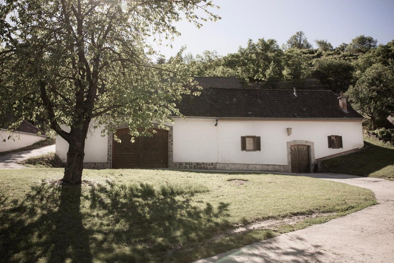 Ferienwohnung Am Weingut Eisenbock Strass  Bagian luar foto