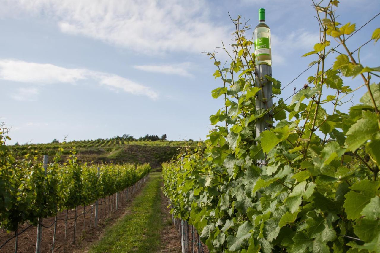 Ferienwohnung Am Weingut Eisenbock Strass  Bagian luar foto