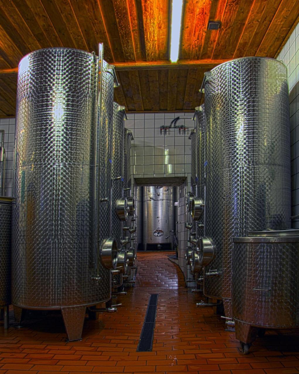 Ferienwohnung Am Weingut Eisenbock Strass  Bagian luar foto